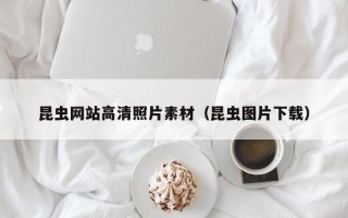 桂平昆虫网站高清照片素材（昆虫图片下载）